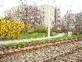 Spaziergang von Pennrich Gompitz-Gorbitz nach Löbtau, längs der Straßenbahnlinie-3