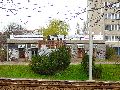 Spaziergang von Pennrich Gompitz-Gorbitz nach Löbtau, längs der Straßenbahnlinie-3