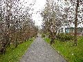 Spaziergang von Pennrich Gompitz-Gorbitz nach Löbtau, längs der Straßenbahnlinie-3