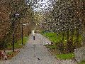 Spaziergang von Pennrich Gompitz-Gorbitz nach Löbtau, längs der Straßenbahnlinie-3