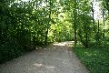 Spaziergang im Grossen Garten