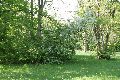 Spaziergang im Grossen Garten