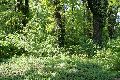 Spaziergang im Grossen Garten