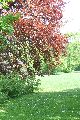 Spaziergang im Grossen Garten