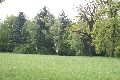Spaziergang im Grossen Garten
