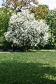 Spaziergang im Grossen Garten
