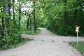Spaziergang im Grossen Garten