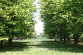 Spaziergang im Grossen Garten