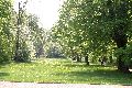 Spaziergang im Grossen Garten