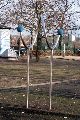 Spaziergang Großenhainer Str.-Richtung Trachau-Wilder Mann