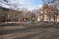 Spaziergang Großenhainer Str.-Richtung Trachau-Wilder Mann