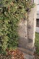Spaziergang Großenhainer Str.-Richtung Trachau-Wilder Mann