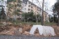 Spaziergang Großenhainer Str.-Richtung Trachau-Wilder Mann