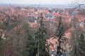 Spaziergang Großenhainer Str.-Richtung Trachau-Wilder Mann