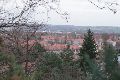 Spaziergang Großenhainer Str.-Richtung Trachau-Wilder Mann