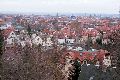 Spaziergang Großenhainer Str.-Richtung Trachau-Wilder Mann