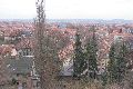 Spaziergang Großenhainer Str.-Richtung Trachau-Wilder Mann