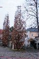 Spaziergang Großenhainer Str.-Richtung Trachau-Wilder Mann
