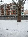 der Wendezeitprozess auf der Hauptstraße zu beobachten