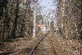 Spaziergang in Hellerau, mit einem besonderen Kapitel vom Festspielhaus-Gelände, in Memoriam Heinrich Tessenow
