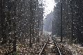 Spaziergang in Hellerau, mit einem besonderen Kapitel vom Festspielhaus-Gelände, in Memoriam Heinrich Tessenow