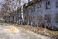 Spaziergang in Hellerau, mit einem besonderen Kapitel vom Festspielhaus-Gelände, in Memoriam Heinrich Tessenow
