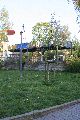 Spaziergang im Hecht