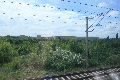 Eisenbahnfahrt Neustädter Bahnhof Richtung Heidenau, Rechtsseitig