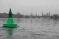 An und auf der Elbe, Bereich Pieschener Hafen