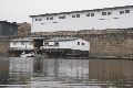 An und auf der Elbe, Bereich Pieschener Hafen
