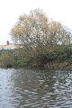 An und auf der Elbe, Bereich Pieschener Hafen