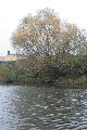 An und auf der Elbe, Bereich Pieschener Hafen