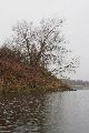 An und auf der Elbe, Bereich Pieschener Hafen