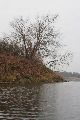 An und auf der Elbe, Bereich Pieschener Hafen