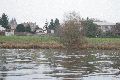 An und auf der Elbe, Bereich Pieschener Hafen
