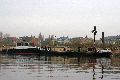 An und auf der Elbe, Bereich Pieschener Hafen