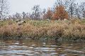An und auf der Elbe, Bereich Pieschener Hafen