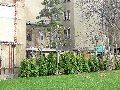 Spaziergang in der Friedrichstadt, Teil 2