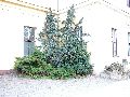 Spaziergang in der Friedrichstadt, Teil 2