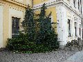 Spaziergang in der Friedrichstadt, Teil 2