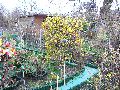 Spaziergang in der Friedrichstadt, Teil 2