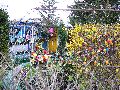 Spaziergang in der Friedrichstadt, Teil 2