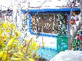 Spaziergang in der Friedrichstadt, Teil 2