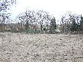 Spaziergang in der Friedrichstadt, Teil 2