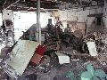 324 Eindrücke vom Freiraum Elbtal