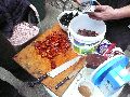324 Eindrücke vom Freiraum Elbtal