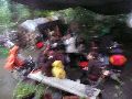 324 Eindrücke vom Freiraum Elbtal