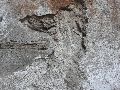 324 Eindrücke vom Freiraum Elbtal