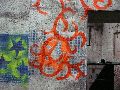 324 Eindrücke vom Freiraum Elbtal
