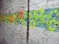 324 Eindrücke vom Freiraum Elbtal